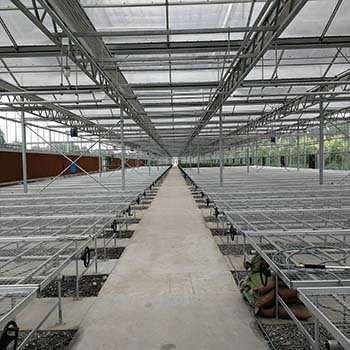 Θερμοκήπιο Ιστολογικής Καλλιέργειας